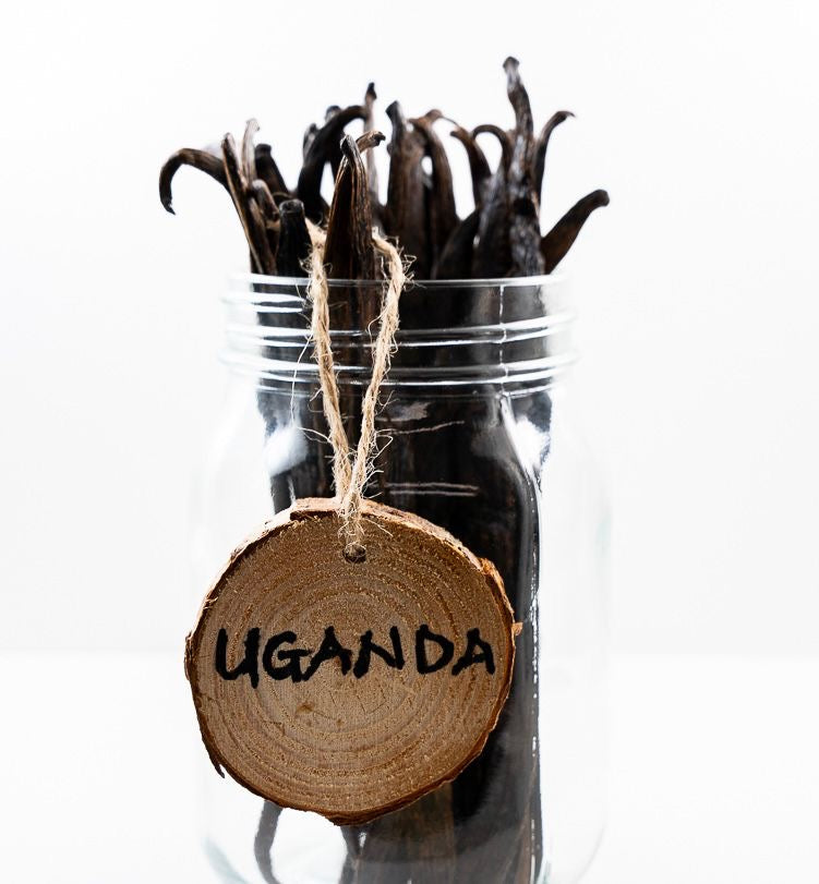 Planifolia Vanilla Beans - Grade B