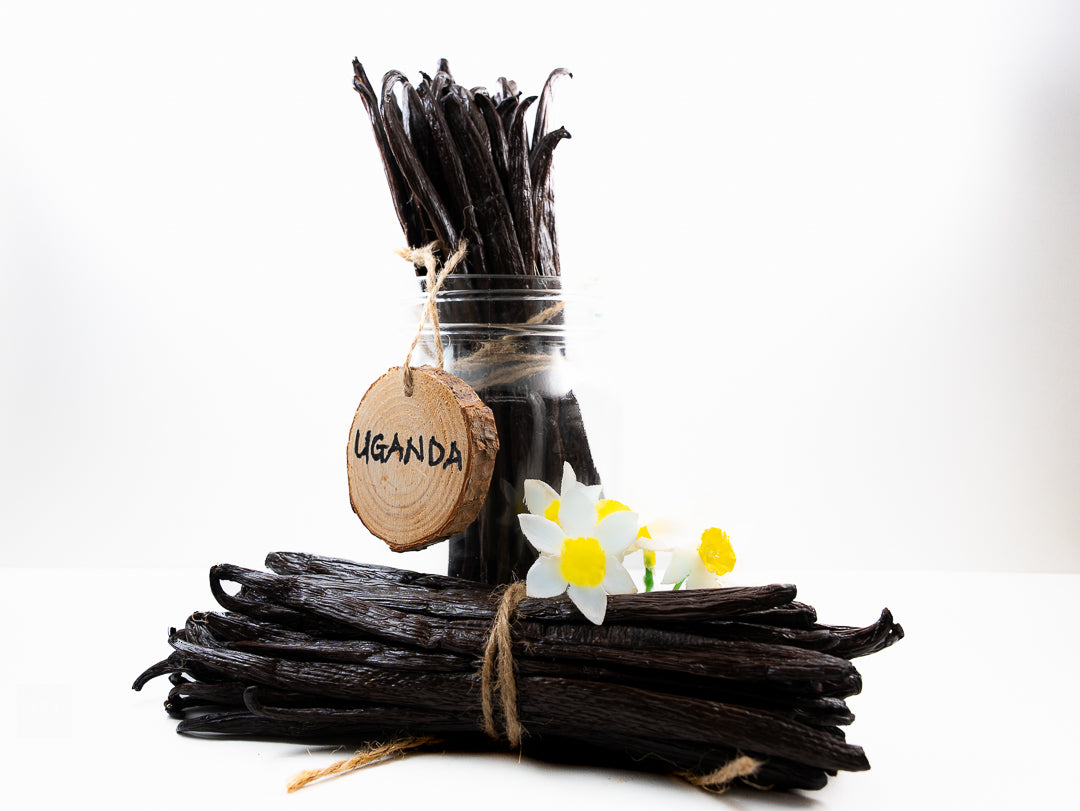 Planifolia Vanilla Beans - Grade A